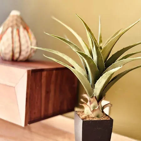 L'etrier-cannes Centre Terrasse * Cannes